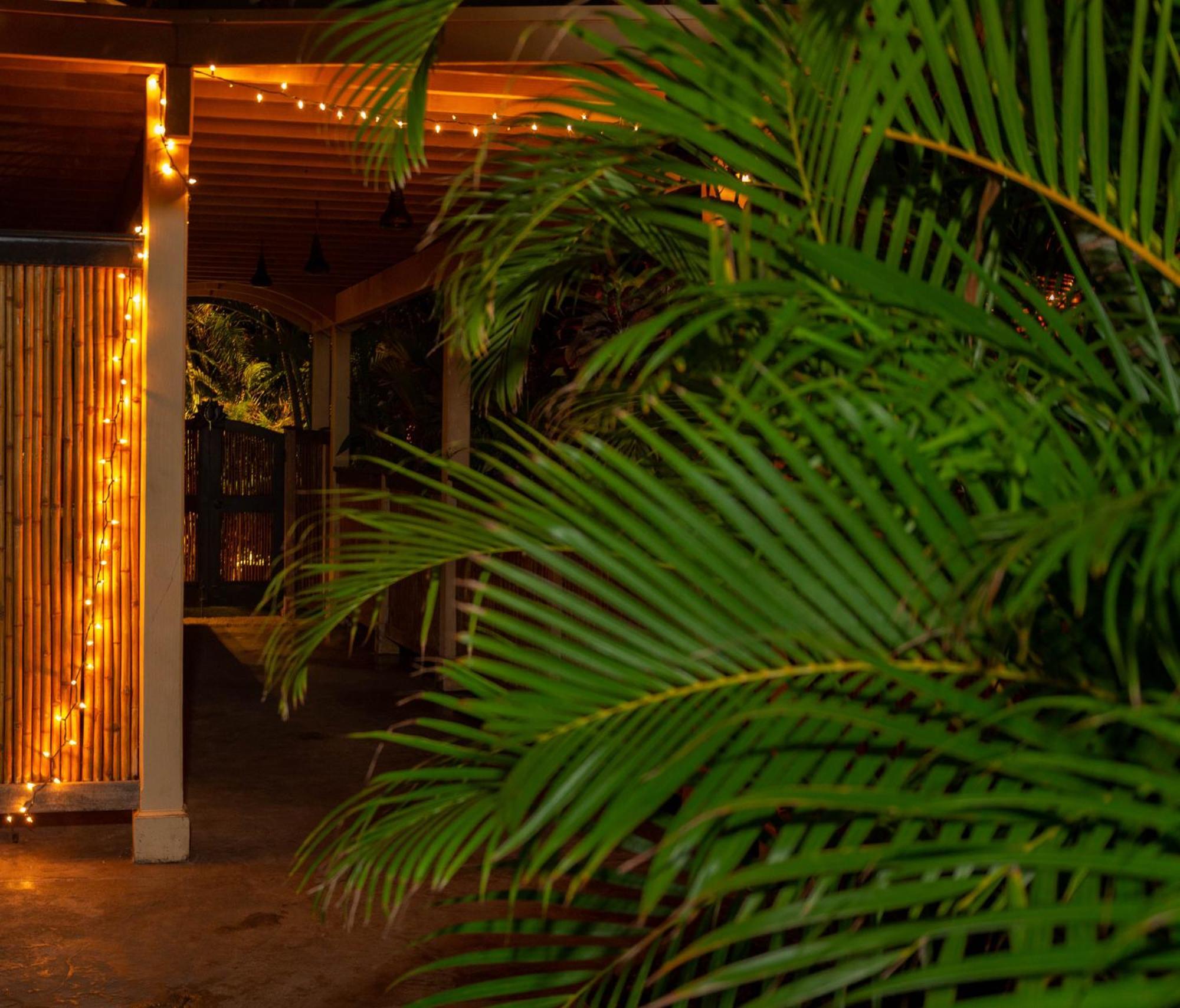 Plumeria Suite, 2-Bedrooms, Sleeps 6, Pool & Bbq, Pre-Renovation Summer Sale Kihei Εξωτερικό φωτογραφία